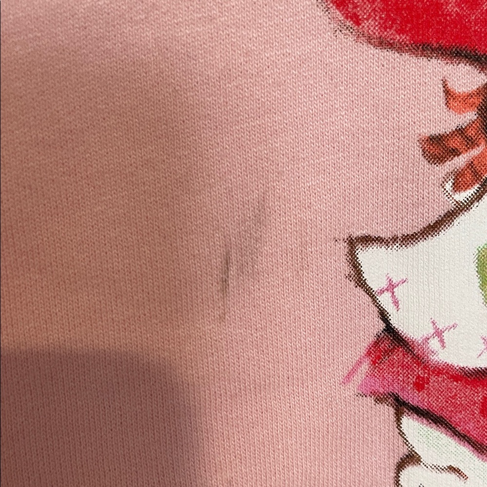 Strawberry shortcake Pink Graphic Sweatshirt NWT Size Large - Picture 4 of 10